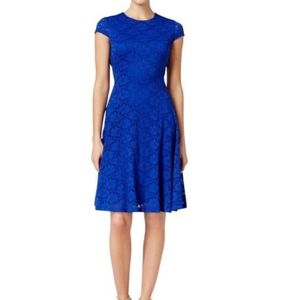 Alfani Blue Lace Fit & Flare Dress